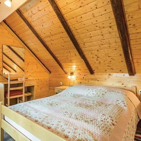 Apartman"Zibar" Skrad Exteriör bild